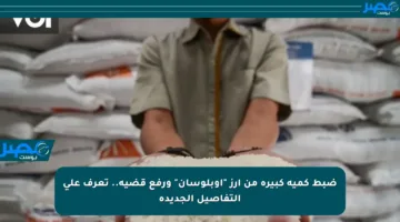 ضبط كمية كبيرة من أرز “أوبلوسان” ورفع قضية.. تعرف على التفاصيل الجديدة